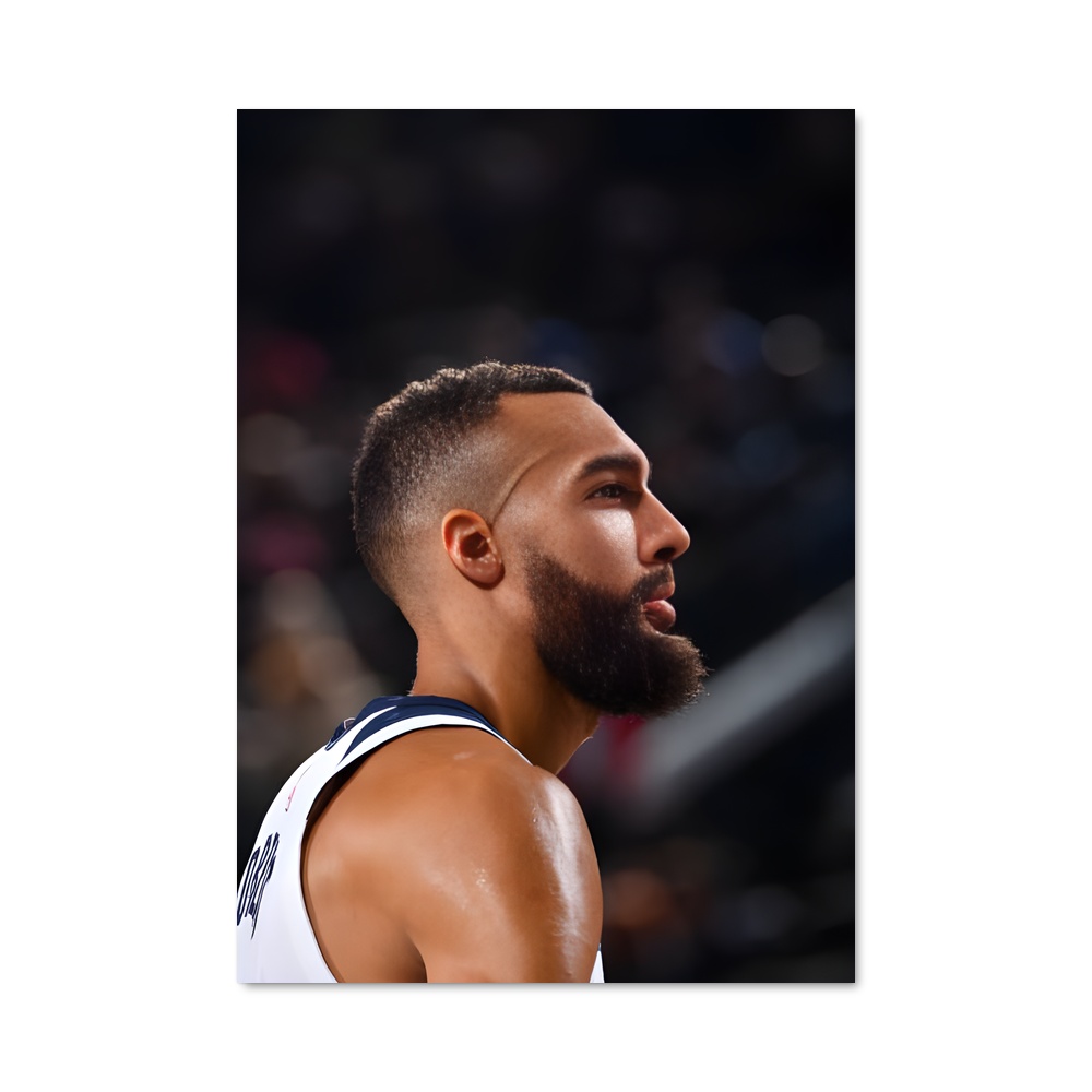 Poster Rudy gobert Mavericks
